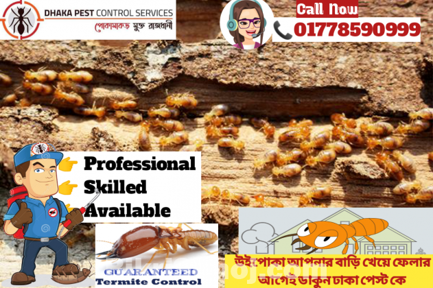 Pest Control & Cleaning Services Dhaka Bangladesh